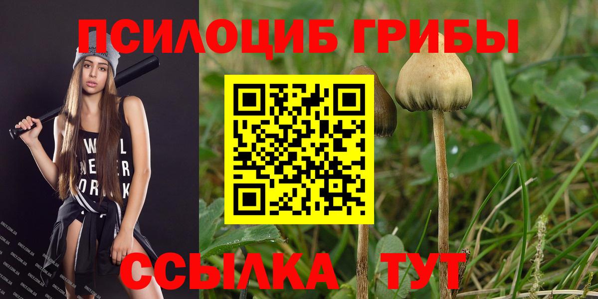 Калуга  Псилоцибиновые грибы GOLDEN TEACHER  Вход с VPN 